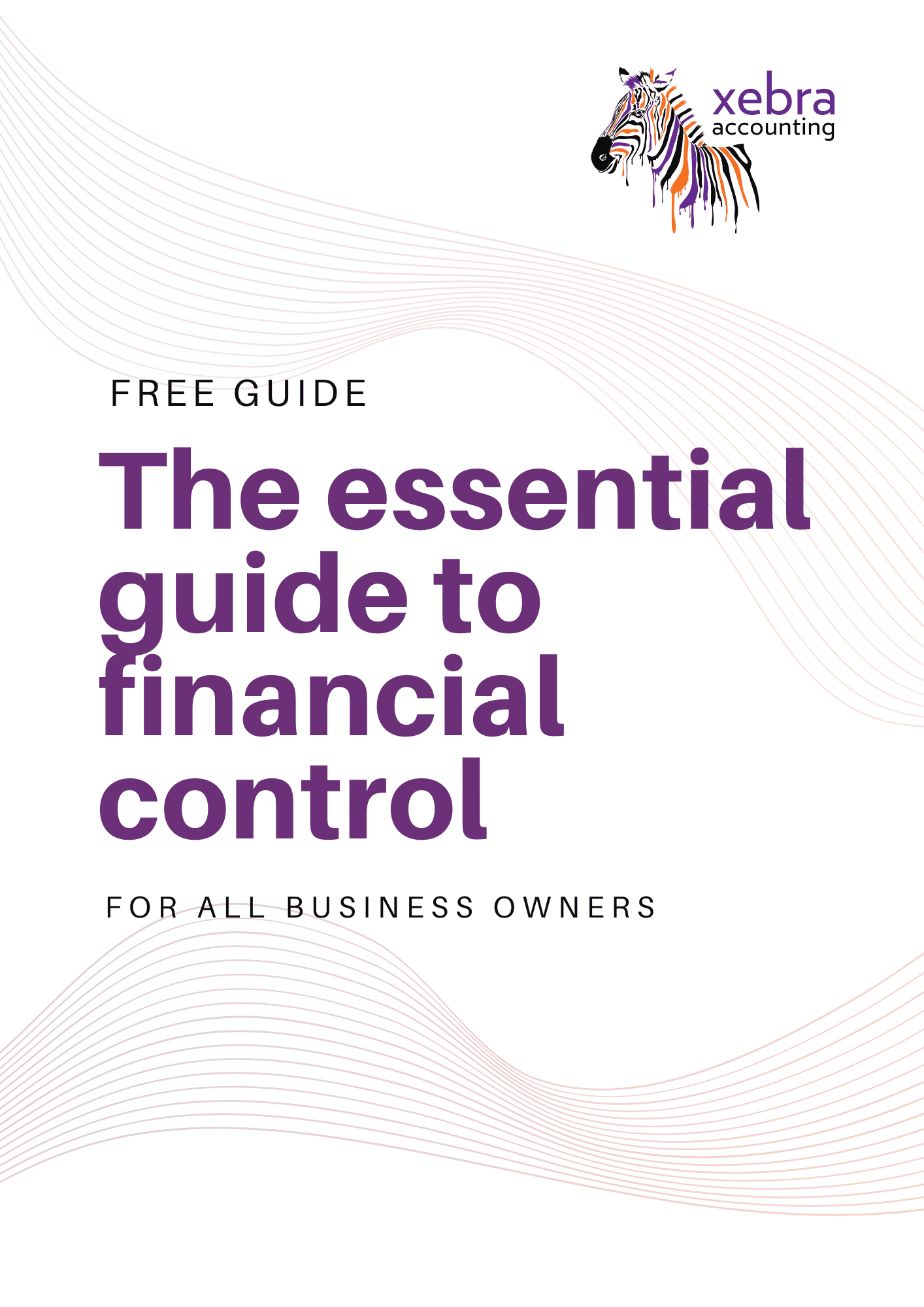Xebra Accounting | Guides & Templates | The Essential Guide to Financial Control